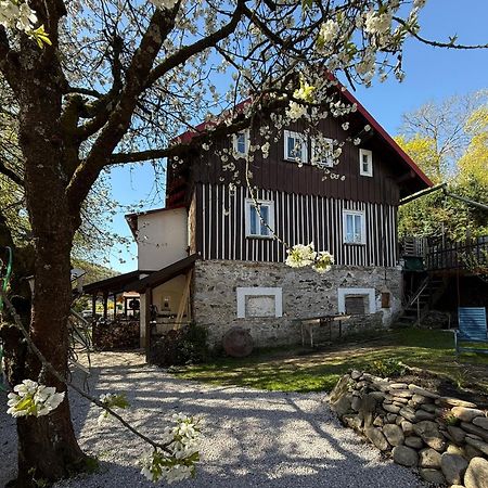 Vila Adelka - Utulna Chalupa V Krkonosich Horní Maršov Eksteriør billede