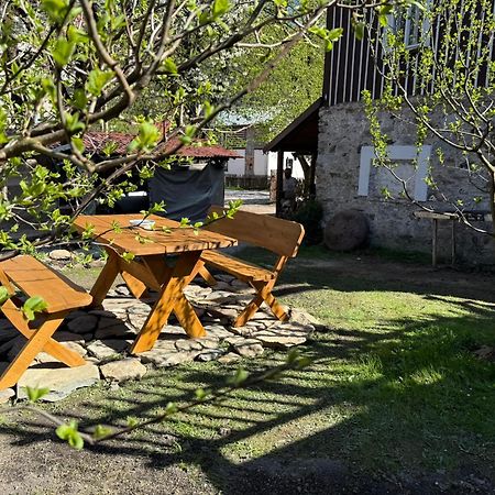 Vila Adelka - Utulna Chalupa V Krkonosich Horní Maršov Eksteriør billede