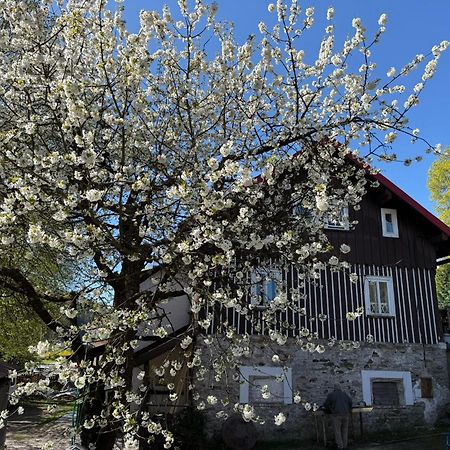 Vila Adelka - Utulna Chalupa V Krkonosich Horní Maršov Eksteriør billede