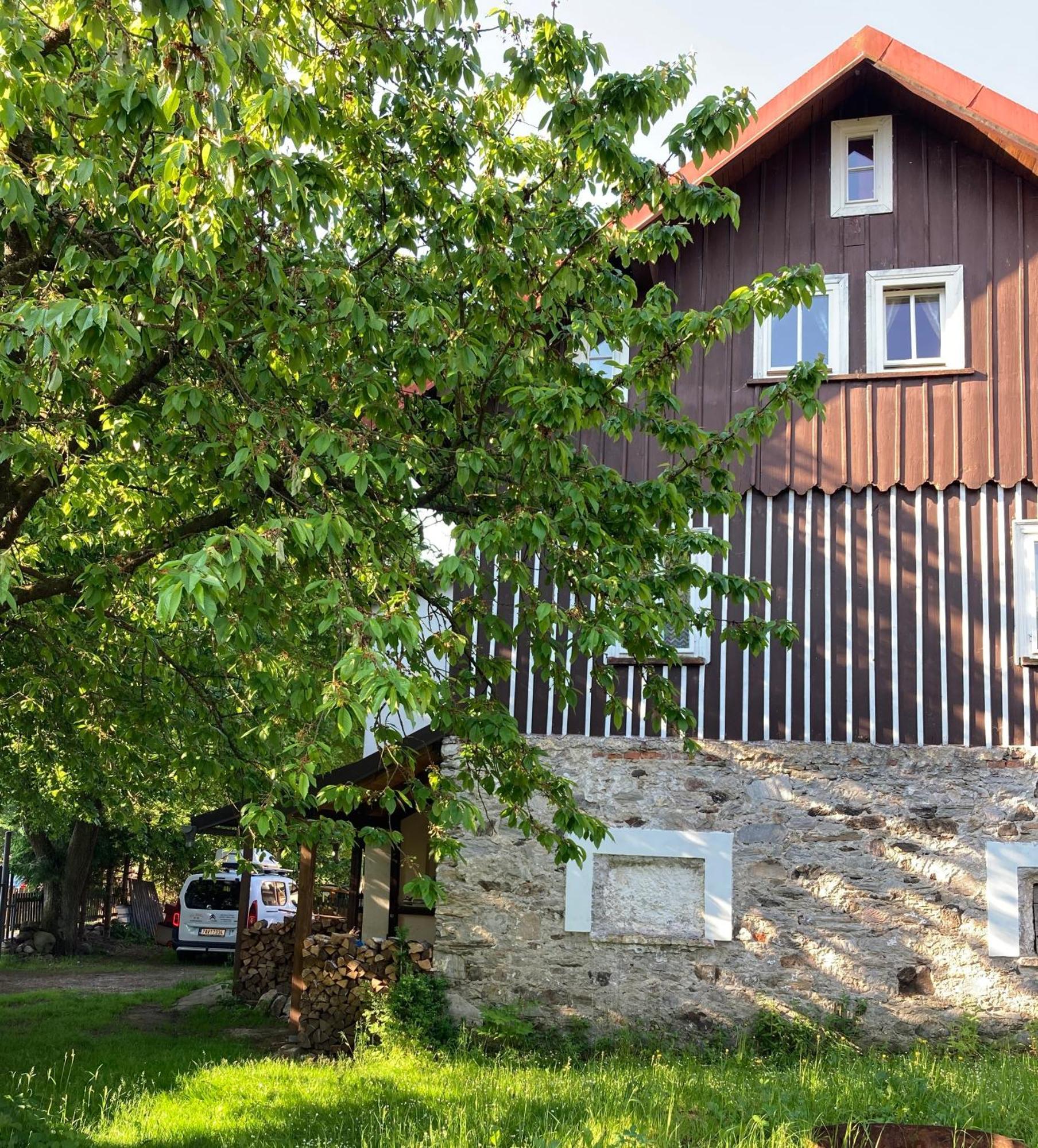 Vila Adelka - Utulna Chalupa V Krkonosich Horní Maršov Eksteriør billede